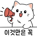 댕냥이살롱 이미지