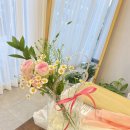 사파동249 이미지