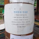 솔봉펜션