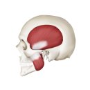 덕산한의원 이미지