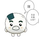 방어축제거리 이미지