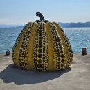 세븐일레븐구리제일점 | 나오시마 섬 당일치기 후기 | 버스 시간표·쿠사마 야요이 노란호박·빨간호박·굿즈샵 가격 총정리