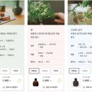 [도쿄 쇼핑] 무인양품 디퓨저 총정리｜그린·우디 향 비교와 직접 써본 후기