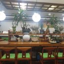 가쯔레쯔 이미지