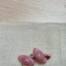 바울동물병원