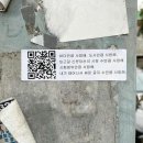 올리포케