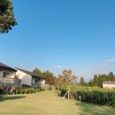 강생이천국 이미지