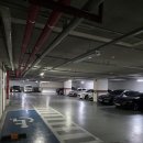 심원사 앞 도로(상) | '스시마이우 센텀 벡스코점' 회전초밥 맛집 점심 메뉴 추천 후기