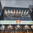 부산에뜬고등어 이미지