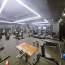 모티어스 | [주엽역PT 헬스장 추천] 15년 경력 보디빌딩 선수 출신, 류상균 트레이너 후기·가격