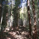 법정스님의 나무의자 이미지