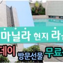 글로리에타 이미지