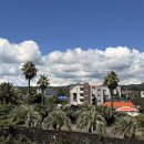 굿모닝 관광펜션 이미지