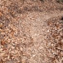 호랑산 둘레길 이미지