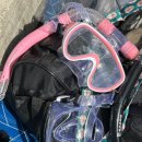근덕면복지회관 | [삼척] 장호항 스노쿨링 솔직 후기 및 물놀이 수칙