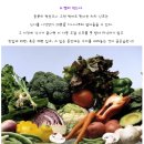 이브올루션 이미지