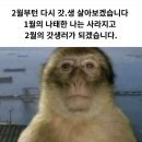 중삼 | 17년산 한 달 후기