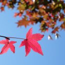 한아름시장 이미지