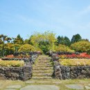 카멜리아힐 이미지