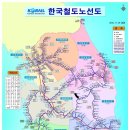신흥로지선 네이버블로그