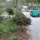 용치마을회관 이미지