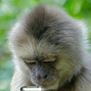 즐거운 세상 PC방 이미지