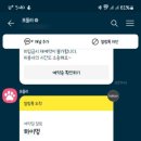 하이멍 애견미용 이미지