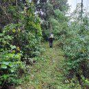 원주굽이길 4코스 꽃양귀비길 이미지