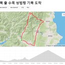 용감한 남자들