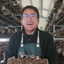 김창원농장 네이버블로그
