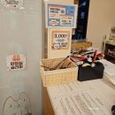 아이사랑방 | 길고양이마을 잠실점 달콤했던 1시간 유기묘 사랑방 내 주인이 되어줘