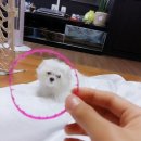 단비동물병원 이미지