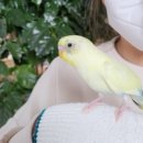 순창 앵무새팜 이미지