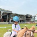 소노캄 타워D 비발디파크 이미지