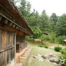 잣향기푸른마을 이미지