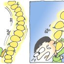 신명공사 이미지