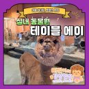 UR(파주시)-[소리천로]-하-6 | [경기 파주/실내 동물원] 주말 특별한 체험 <테이블에이 파주점> 솔직 후기