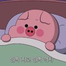 아워타임
