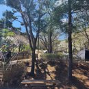 패밀리애견 이미지