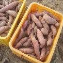 덕암농원 이미지