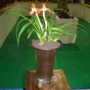 동래원예고등학교 이미지