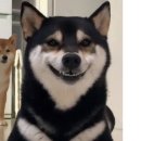 이편