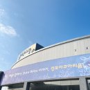 경포아쿠아리움박물관 | 강원도 강릉 여행 갈만한 곳, 경포 아쿠아리움