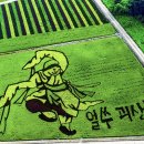 괴산꿀벌영농조합법인 이미지