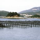 청산수산 네이버블로그