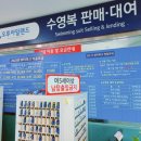 오투아일랜드 이미지