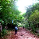 김삿갓초장 이미지