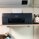 G3923 | 캐논 무한 잉크젯 G3923 찐 후기~