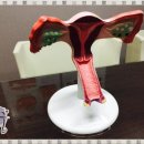 훈한의원 이미지