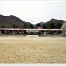 당평입구 Daum카페